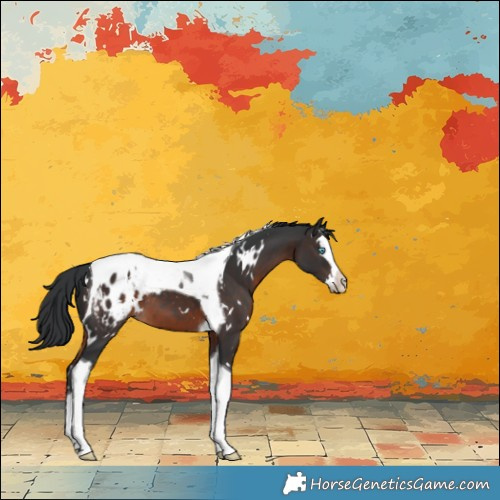 Horse Color:White Spotted Brown Splash Tobiano Varnish