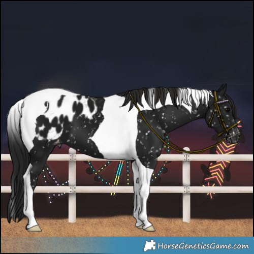 Horse Color:Gray Black Tobiano Blanket