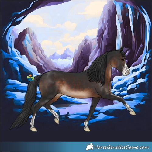 Horse Color:Brown Sabino 