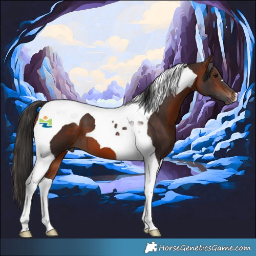 Horse Color:Bay Tobiano 