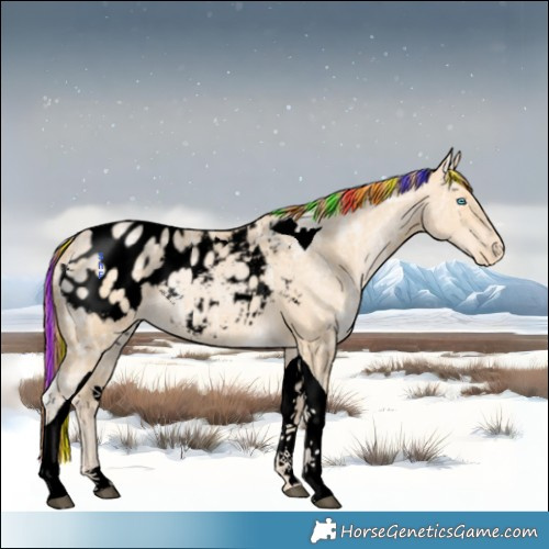 Horse Color:Void Painted Buckskin Ice Pearl Tobiano Blanket