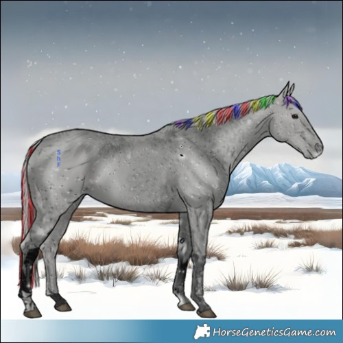 Horse Color:ERROR: UNKNOWN ANOMALY