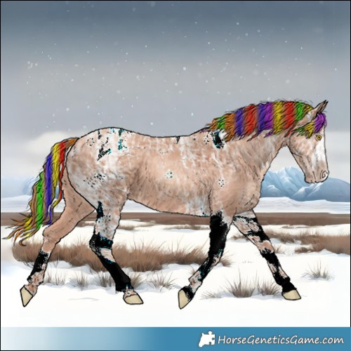 Horse Color:Painted Gold Champagne Ice Tobiano