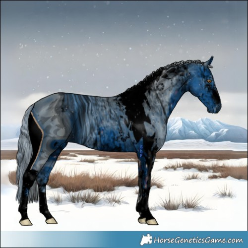 Horse Color:ERROR: UNKNOWN ANOMALY