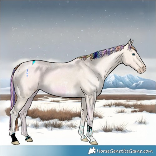 Horse Color:Painted Perlino Ice Tobiano 