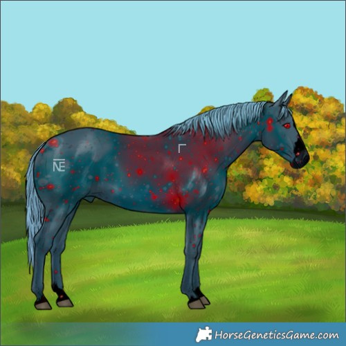 Horse Color:ERROR: UNKNOWN ANOMALY