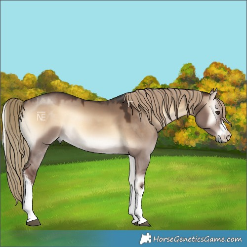 Horse Color:White Spotted Liver Red Dun Onyx 