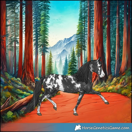 Horse Color:Black Sabino Blanket 