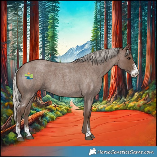 Horse Color:Silver Blue Roan Sabino