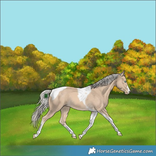 Horse Color:Cremello Tobiano