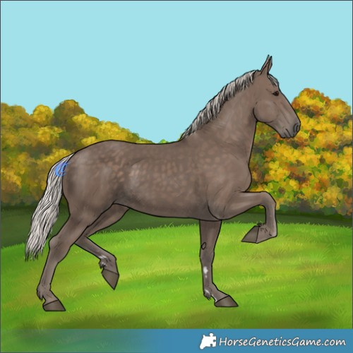 Horse Color:Silver Black 