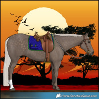 Horse Color:Silver Black
