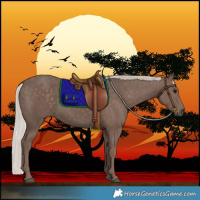 Horse Color:Silver Black
