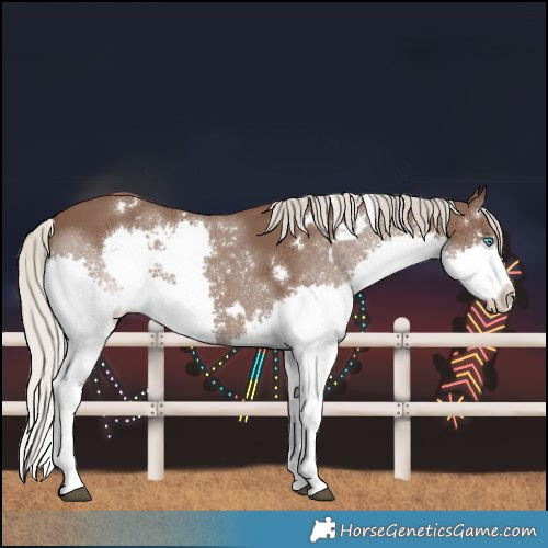 Horse Color:White Spotted Silver Black Splash 