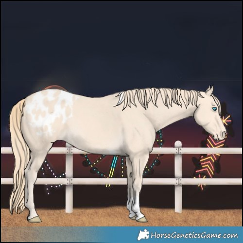 Horse Color:Perlino Tobiano Blanket
