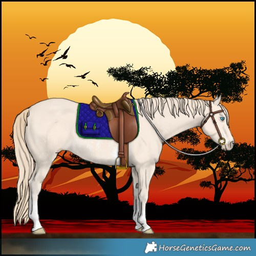 Horse Color:Perlino Sabino