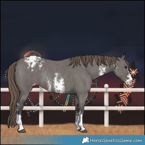 Horse Color:Smoky Grullo Sabino Varnish Rabicano 