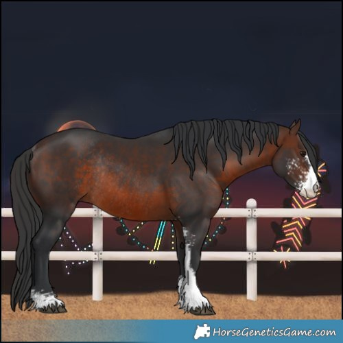 Horse Color:Brown Sabino Rabicano 