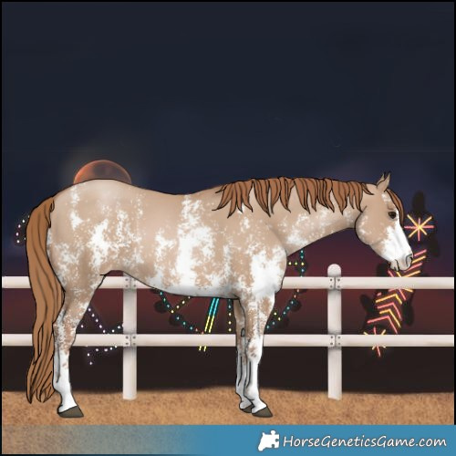 Horse Color:Grullo Pearl Sabino Varnish 