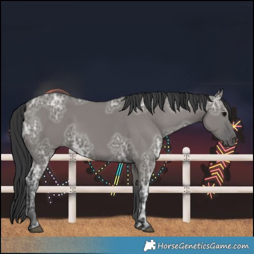 Horse Color:Grullo Ice 