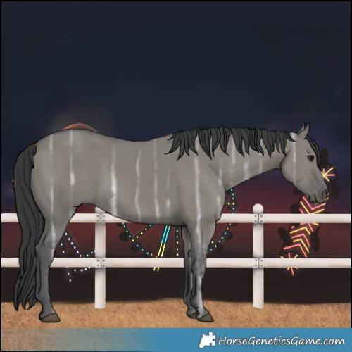 Horse Color:White Spotted Grullo Ice