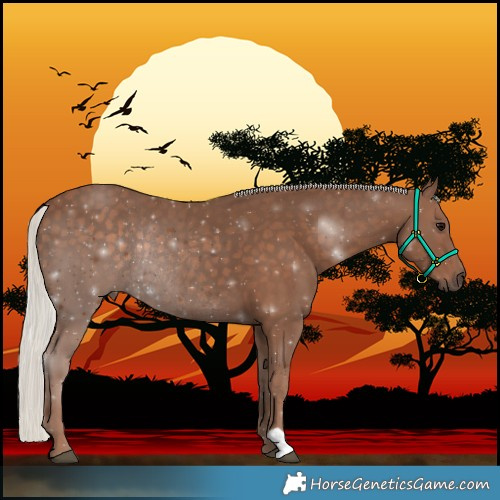 Horse Color:Silver Black Rabicano