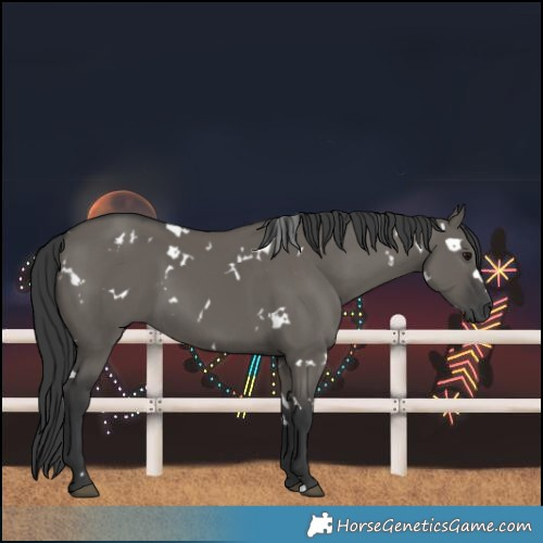 Horse Color:White Spotted Grullo