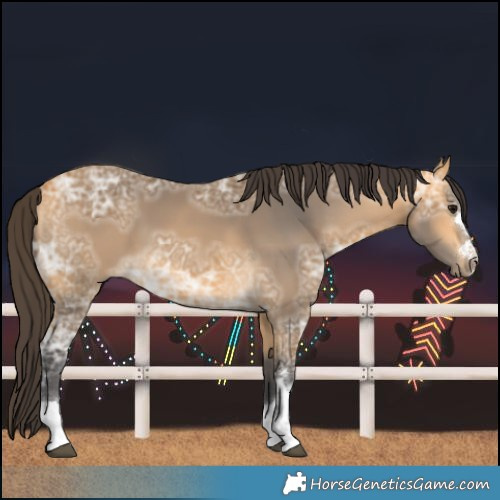 Horse Color:Buckskin Ice 