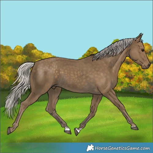 Horse Color:Silver Smoky Black 
