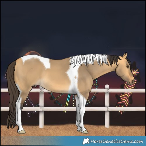 Horse Color:Buckskin Dun Tobiano