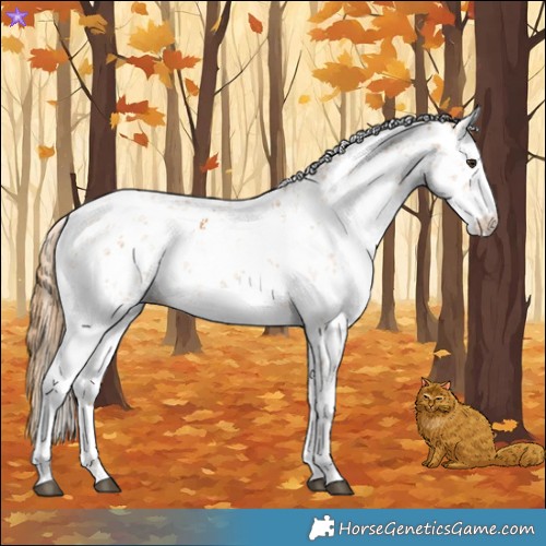 Horse Color:Chestnut Sabino