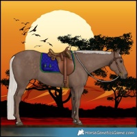Horse Color:Silver Black Rabicano 