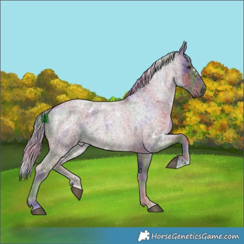 Horse Color:Nacre White Spotted Chocolate Palomino Roan 