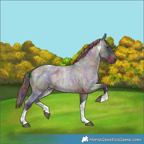 Horse Color:Nacre White Spotted Liver Red Roan 