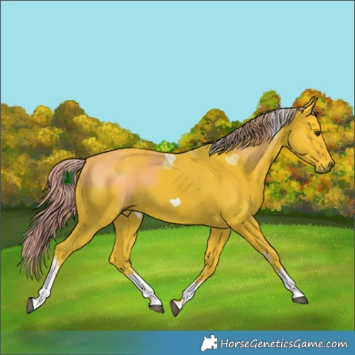 Horse Color:Watercolor White Spotted Liver Chestnut