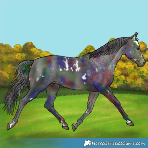 Horse Color:Nacre White Spotted Bay 