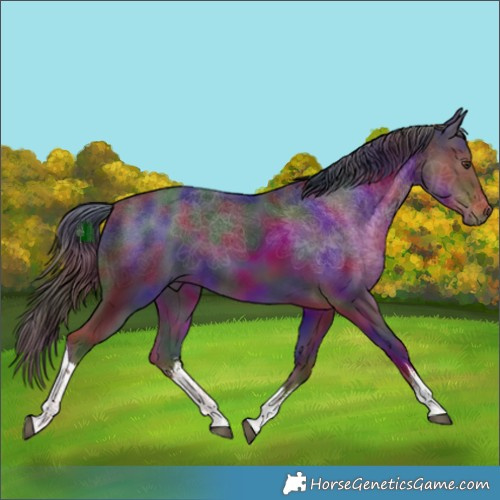 Horse Color:Nacre White Spotted Liver Chestnut 
