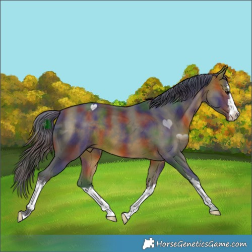 Horse Color:Nacre White Spotted Bay