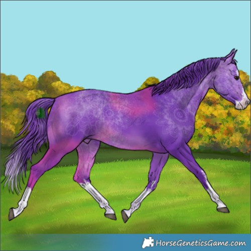 Horse Color:Watercolor White Spotted Bay Splash