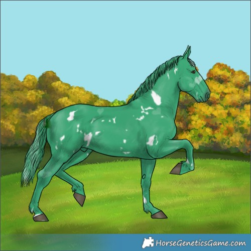 Horse Color:Watercolor White Spotted Liver Chestnut