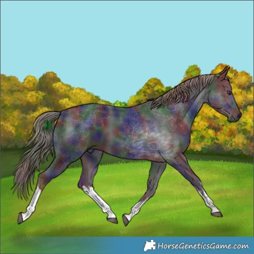 Horse Color:Gray Nacre White Spotted Liver Chestnut