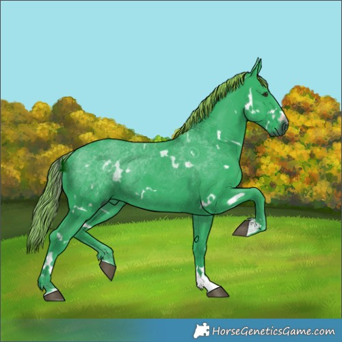 Horse Color:Gray Watercolor White Spotted Liver Chestnut