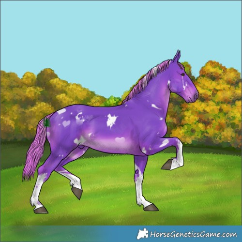 Horse Color:Watercolor White Spotted Liver Chestnut