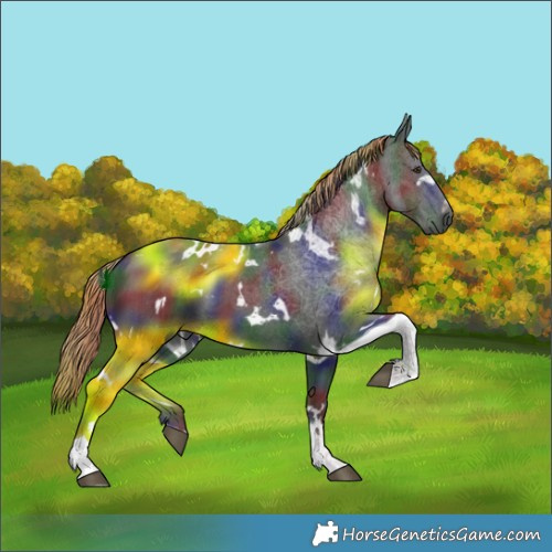 Horse Color:Gray Nacre White Spotted Liver Chestnut Tobiano