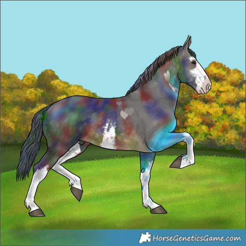 Horse Color:Nacre White Spotted Buckskin 