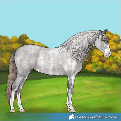 Horse Color:Platinum Liver Red Roan Sabino Rabicano
