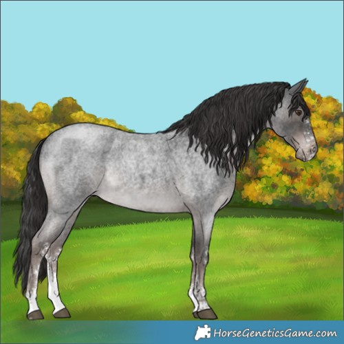 Horse Color:Platinum Liver Red Roan Sabino Rabicano 