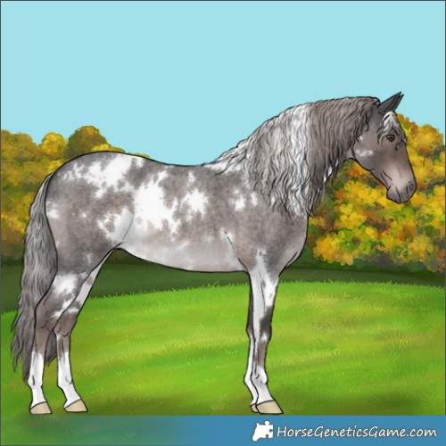 Horse Color:Platinum White Spotted Liver Red Roan