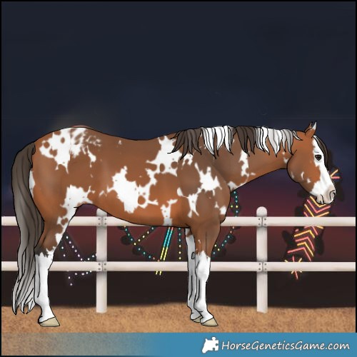 Horse Color:Unknown 