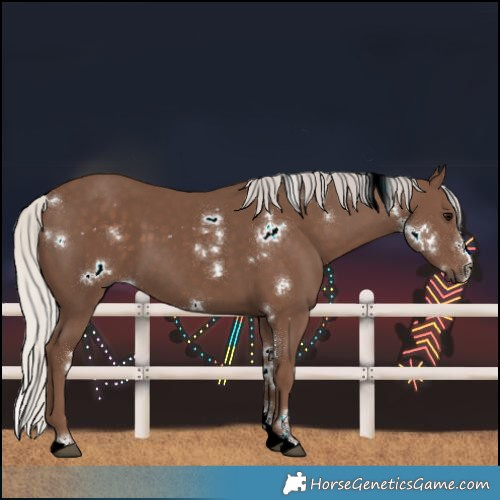 Horse Color:Unknown 